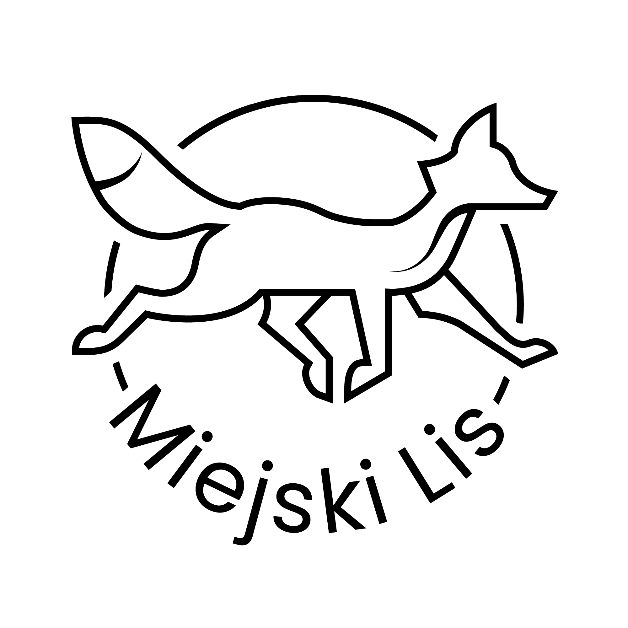 Miejski Lis